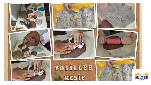 Fosillerin İzinde