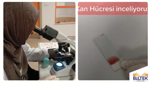 KAN HÜCRESİ İNCELİYORUZ