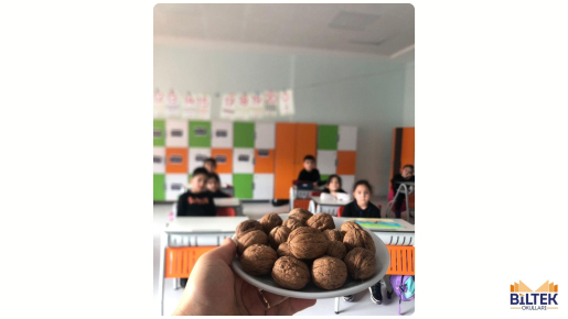 C sesi