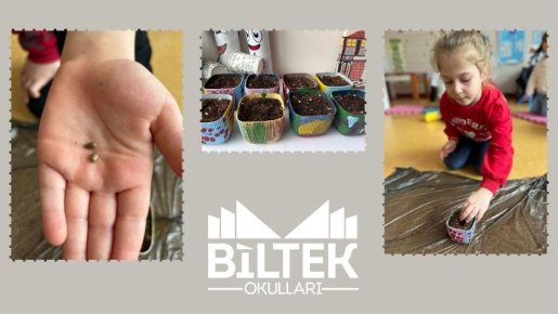 Orman Haftası Etkinliği